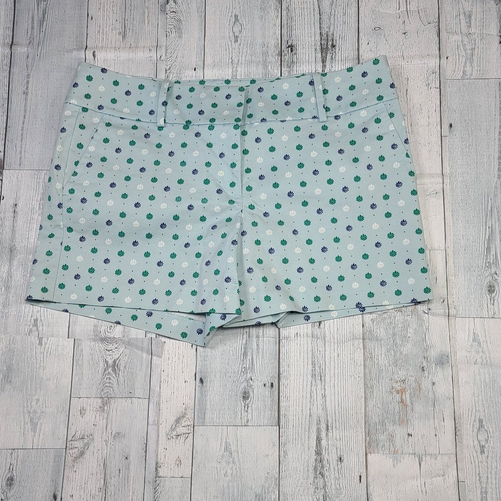 Ann Taylor Green, Blue Shorts